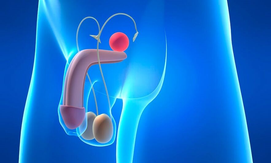 Edem prostate s prostatitisom