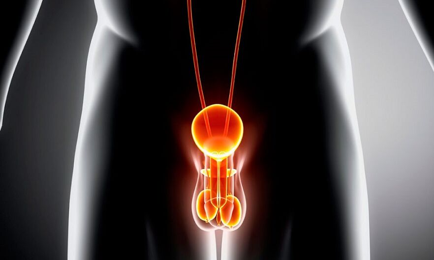 upaljeni genitourinarni sustav za prostatitis